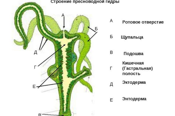 Кракен ссылка прокатис