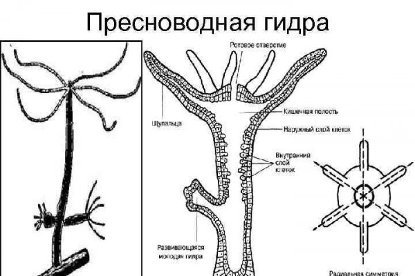 Кракен ссылка официальная на тор