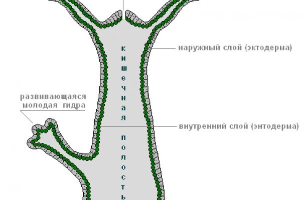 Ссылка на кракен в тор браузере