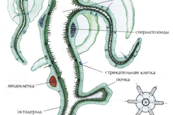 Кракен как попасть