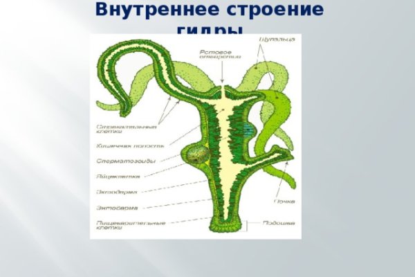 Kraken21 at сайт