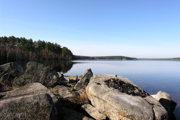 Ссылки на даркнет